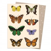 Greeting Card | Native Flutter